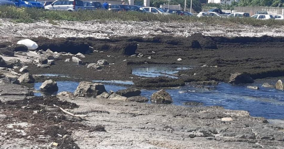 FB_IMG_1691945474007