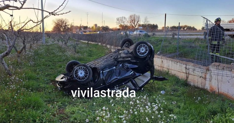 FB_IMG_1711053114651