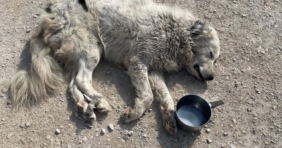 FB_IMG_1760881223581