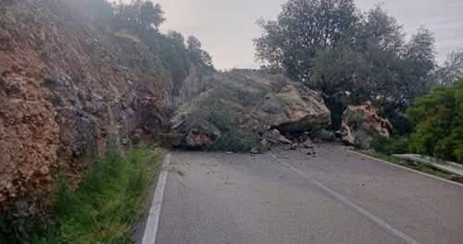 FB_IMG_1765005499277