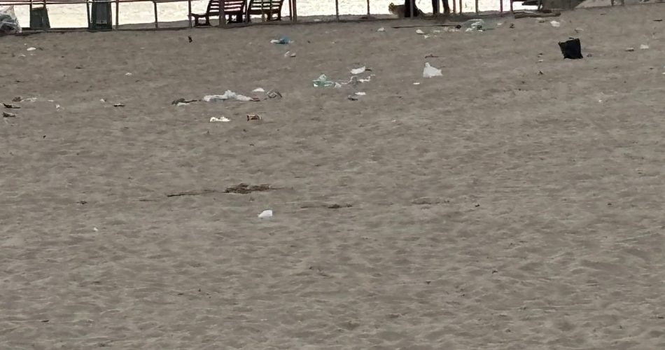 FB_IMG_1775976005738