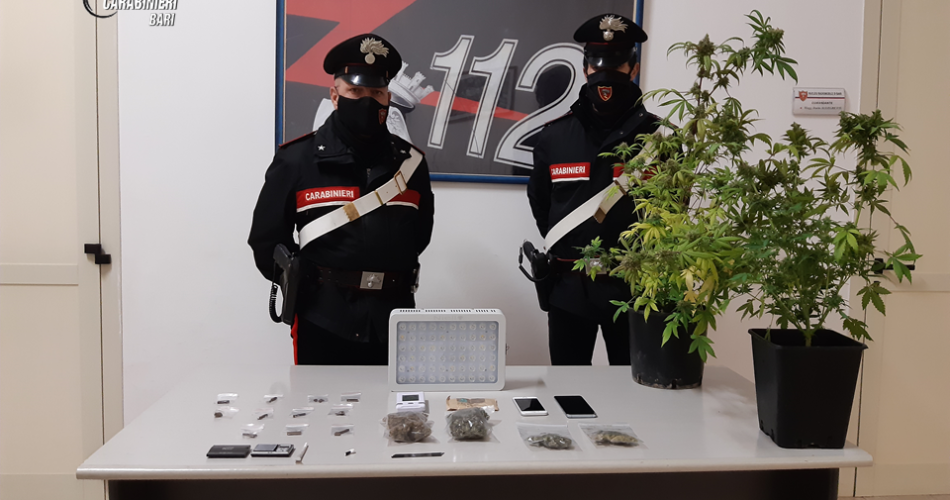 FOTO RADIOMOBILE DROGA