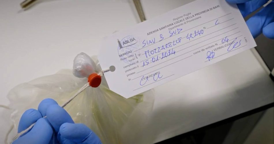 Filiera lattiero-casearia Siav B Area Sud (11)