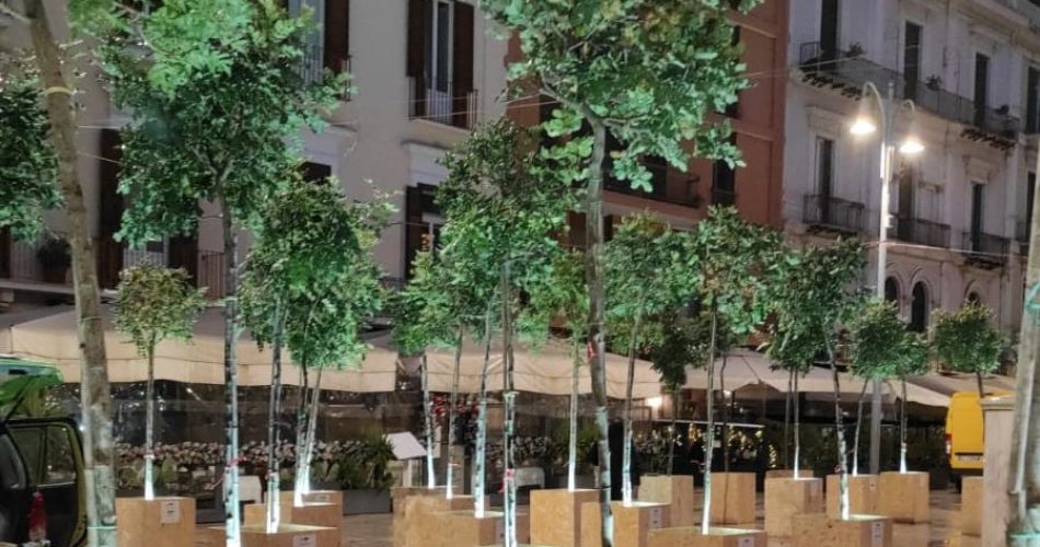 Foresta Urbana