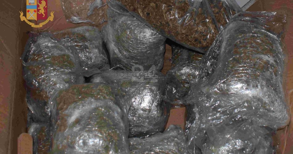 cipriani corso italia