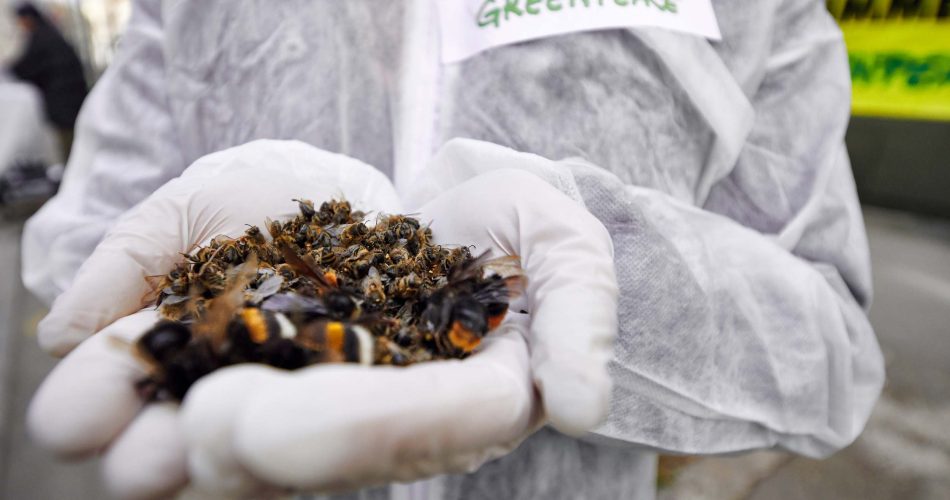 Greenpace_stop pesticidi_1