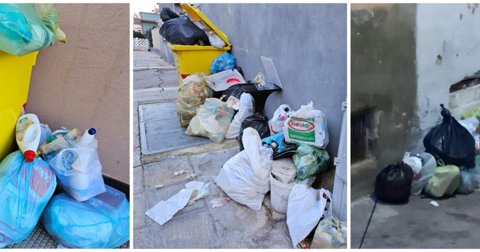 GridArt_20240123_082738586