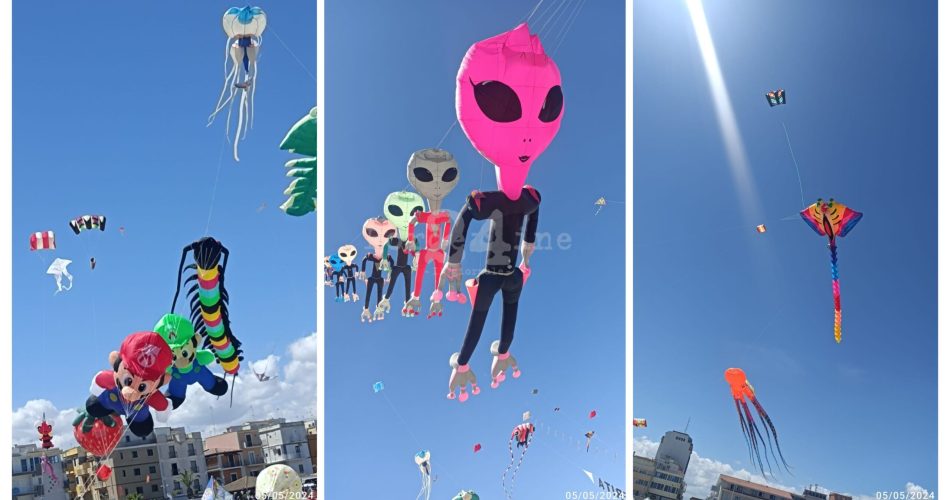 GridArt_20240505_123610586