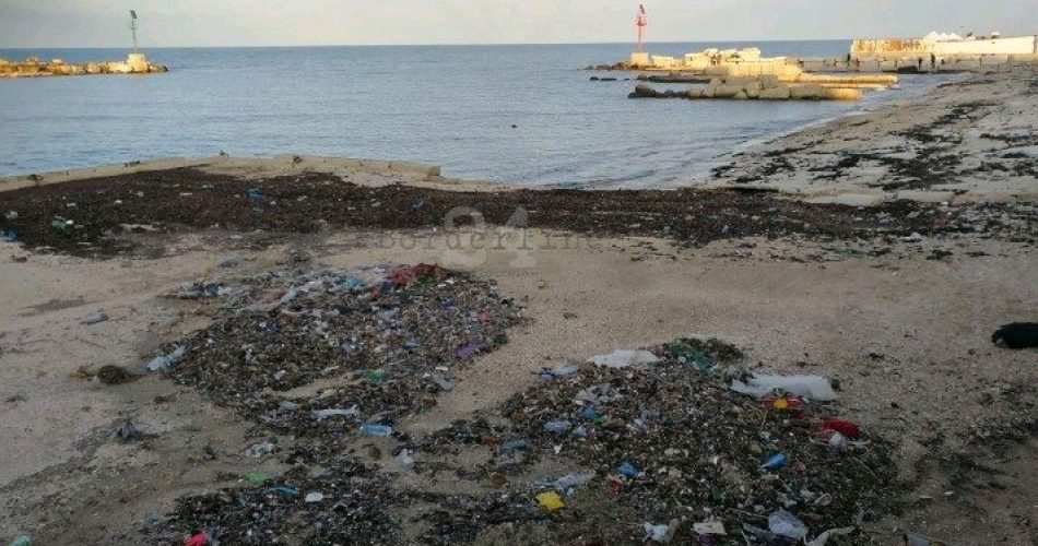 Lungomare palese rifiuti Lungomare palese rifiuti