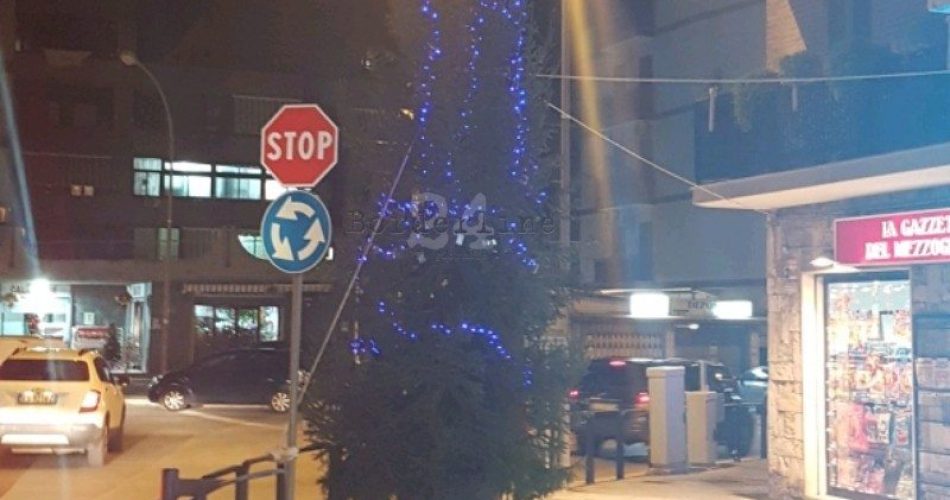 IMG-20171222-WA0040_crop_594x480-800x646