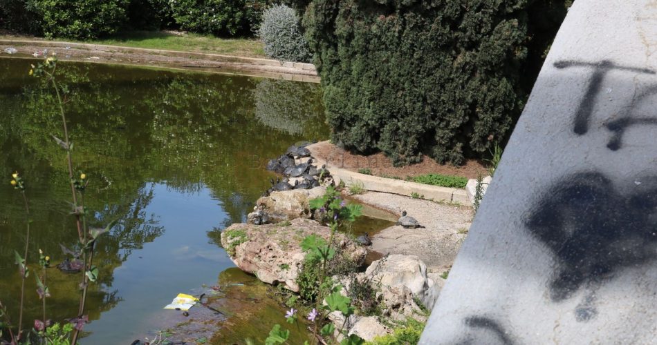 largo due giugno rifiuti