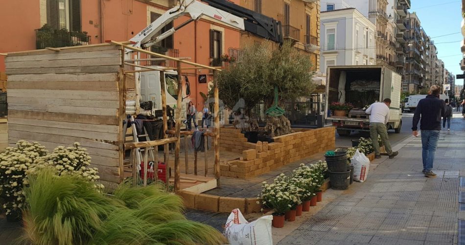 primavera mediterranea