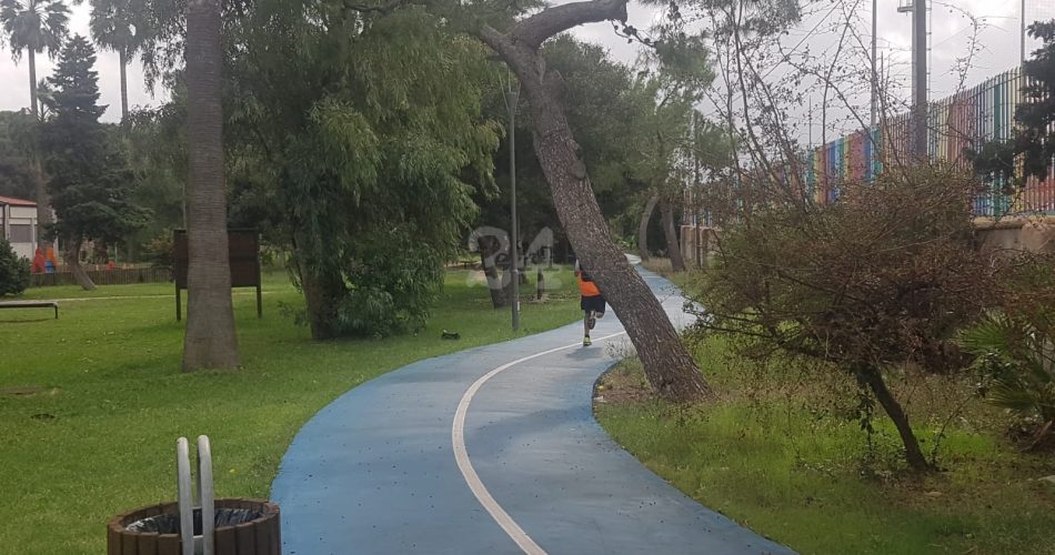 pineta san francesco