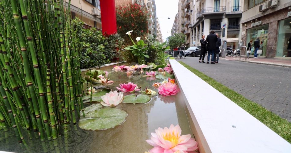 primavera mediterranea