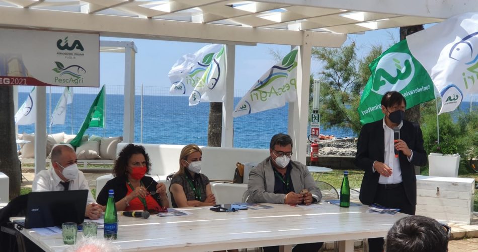 IMG-20210611-WA0083(1)