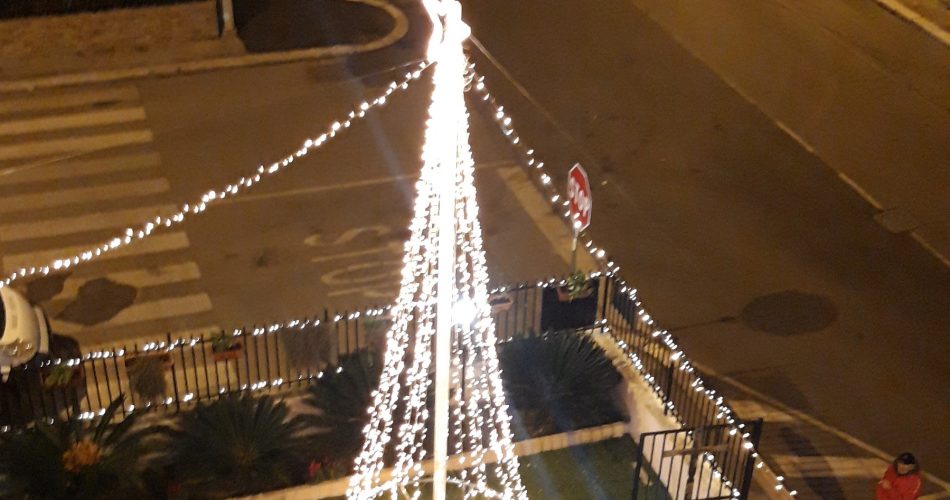 albero santa rita san paolo albero santa rita san paolo