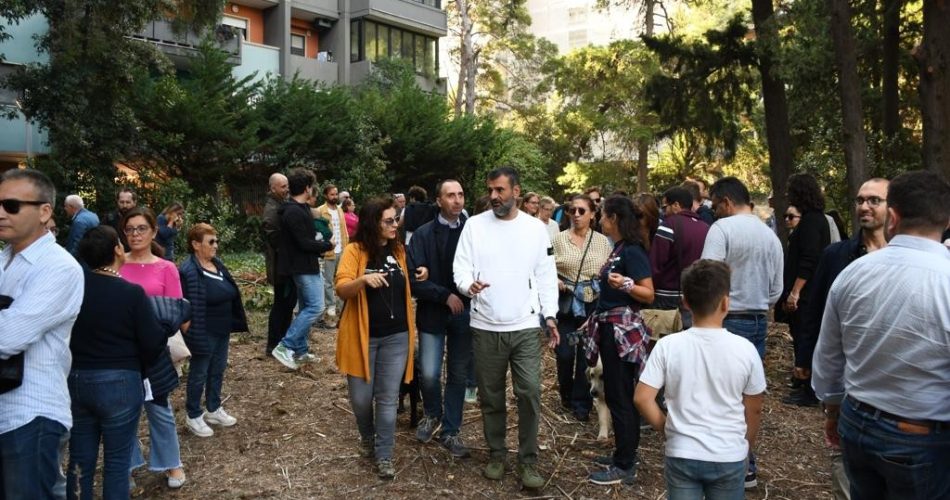 Bosco cancello rotto