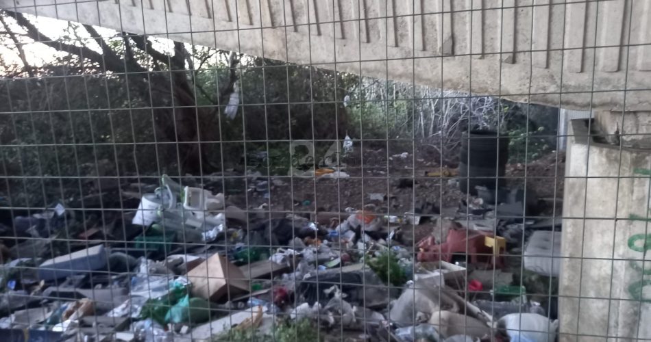 rifiuti viale pasteur