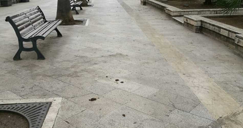 corso Vittorio Emanuele rifiuti