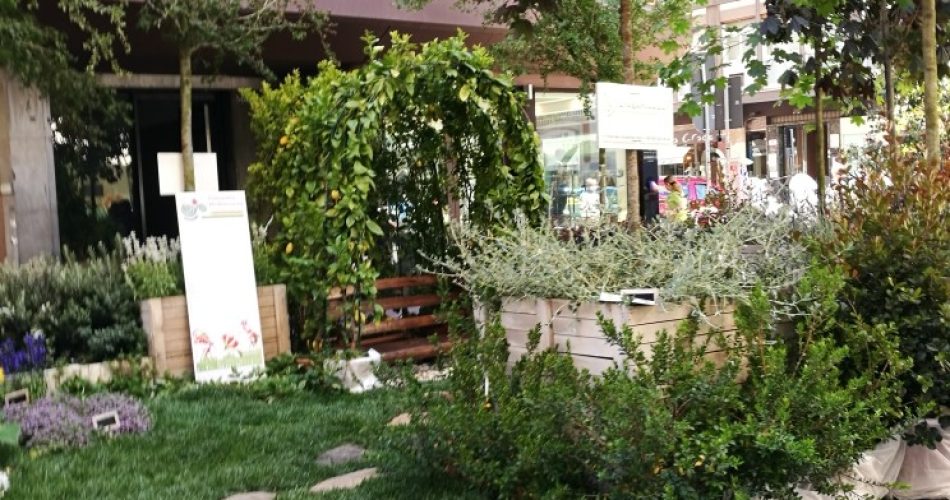 Via Argiro Primavera Mediterranea