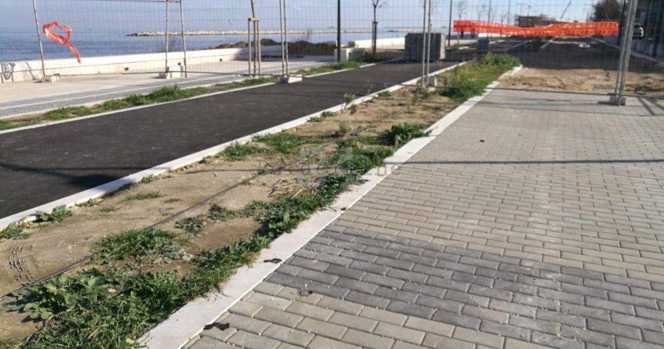 Lungomare escrementi