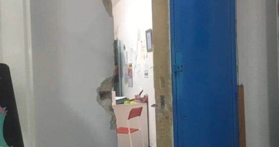 palalaforgia vandali