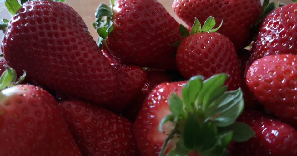 fragole