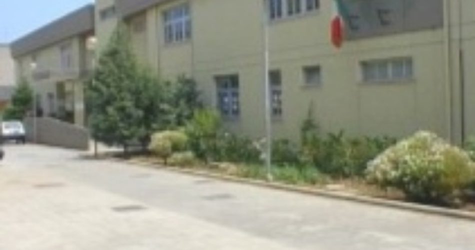 Plesso vacca Gabelli