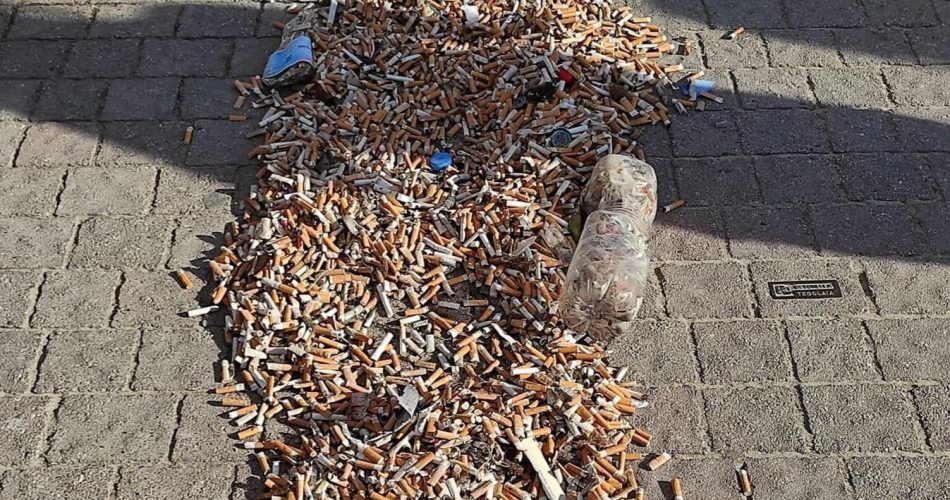 Retake Bari torre a mare