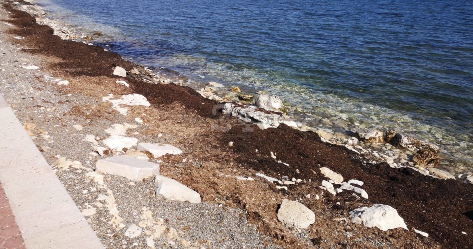 degrado san girolamo