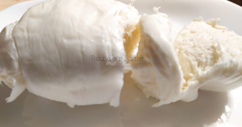 IMG_20210717_080100_132