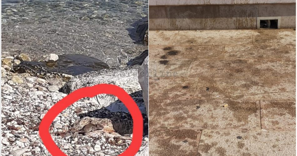 degrado san girolamo