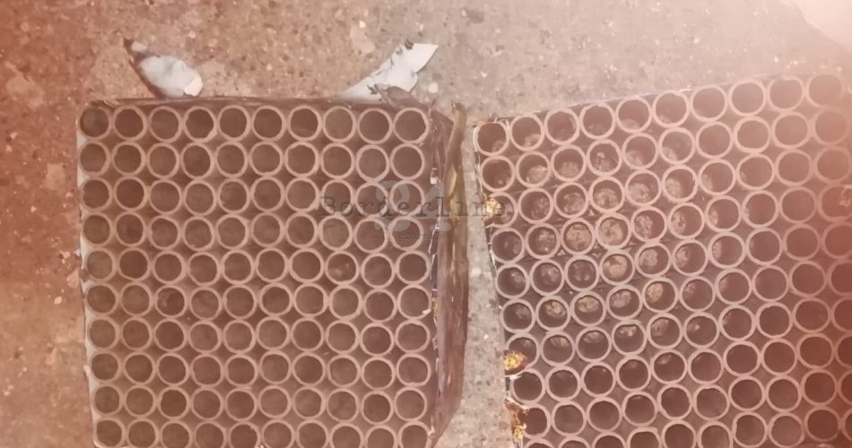 botti polizia locale