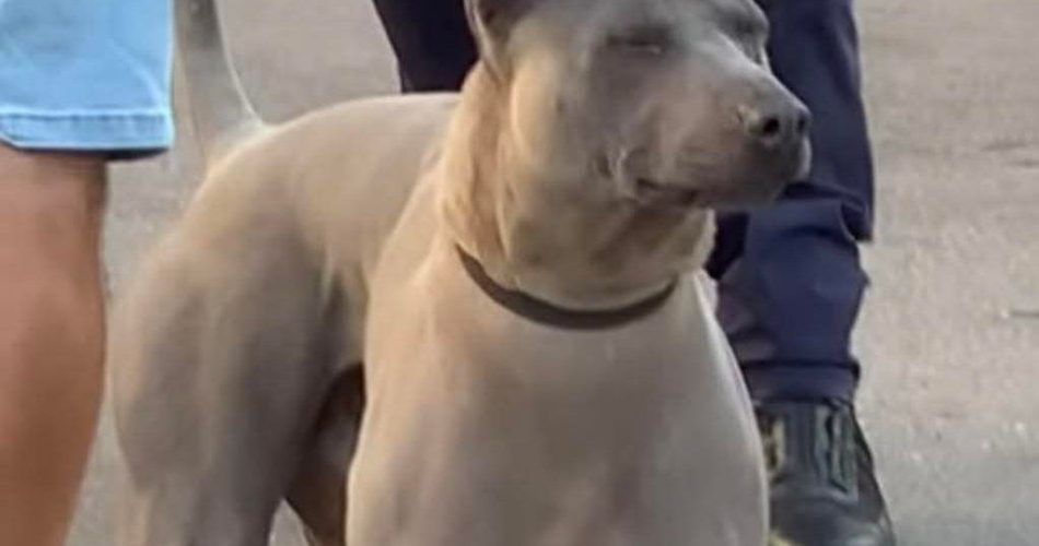 IMG_20250823_113027_491