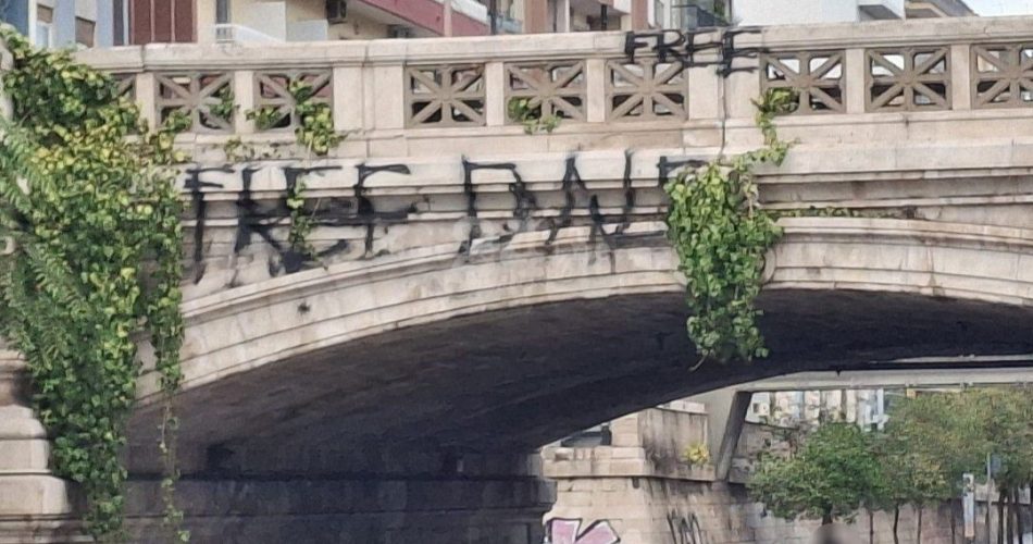 IMG_20251004_110136_761