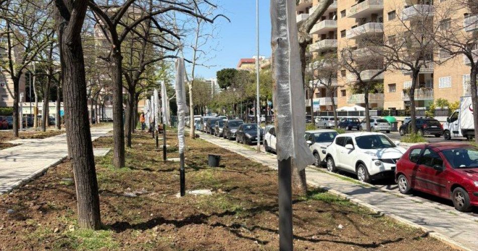 IMG_20260411_142302_280