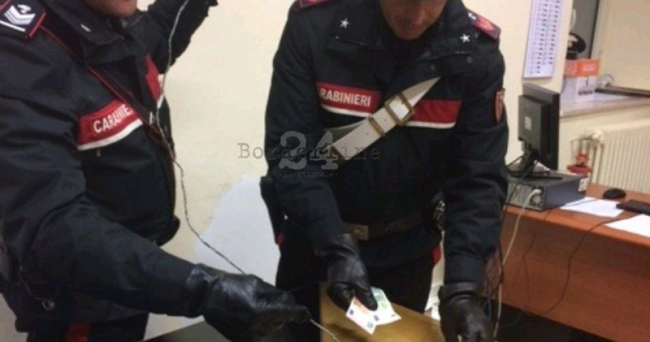 IMG_3867_crop_479x384-800x641