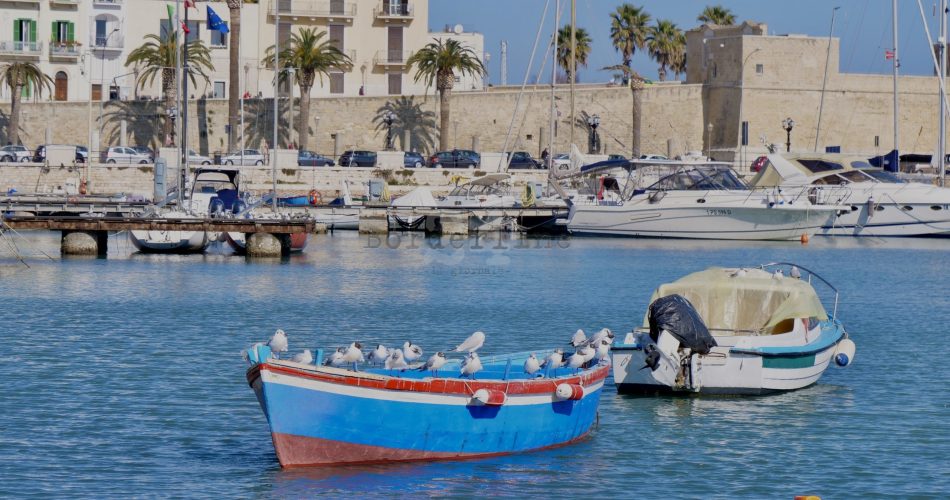 lungomare bari vecchia