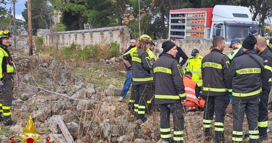 Immagine WhatsApp 2025-10-07 ore 14.12.10_96a5380f