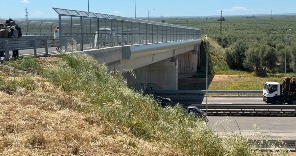 Inaugurazione del nuovo ponte sulla S.P. 231__