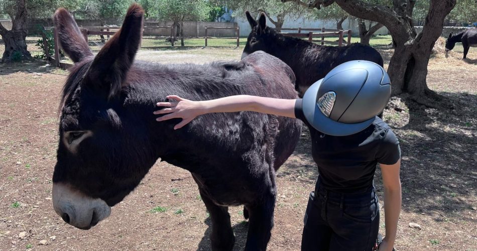 Interventi assistiti animali - Alberobello (2)