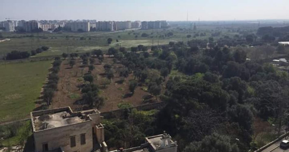 Foto della consigliera comunale Irma Melini