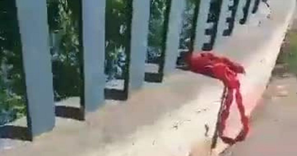 Liceo_4 andria furti