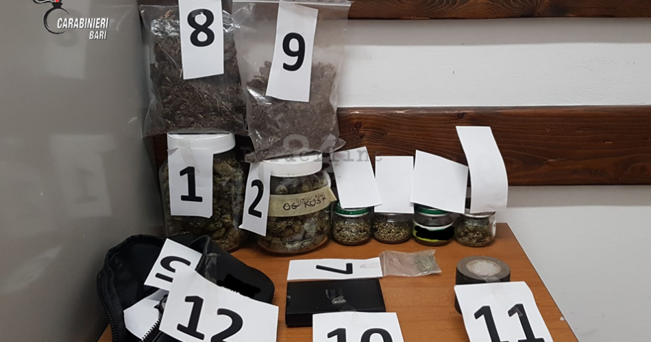 Molfetta arresto droga