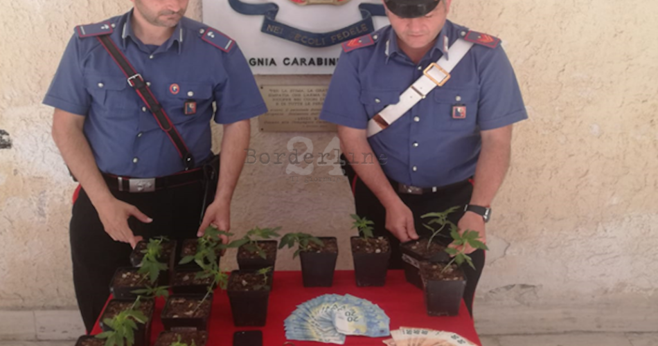 Monopoli - coltiv. droga