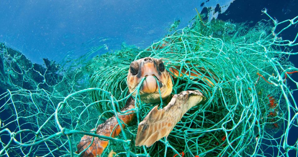 Mostra_Planet_or_Plastic?_Jordi Chias