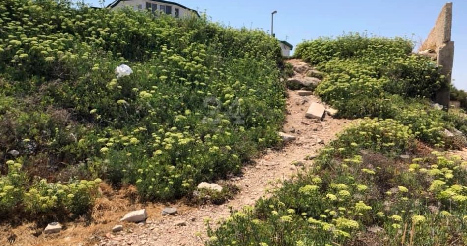 Muretto Torre a mare