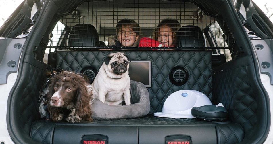 Nissan 4dogs 2 cani