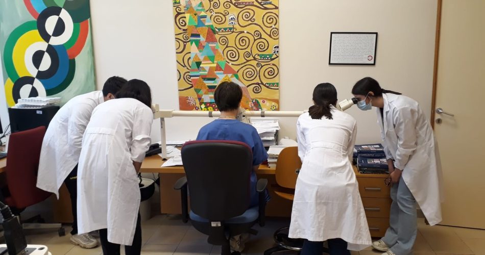 PCTO Polo Liceale Terlizzi