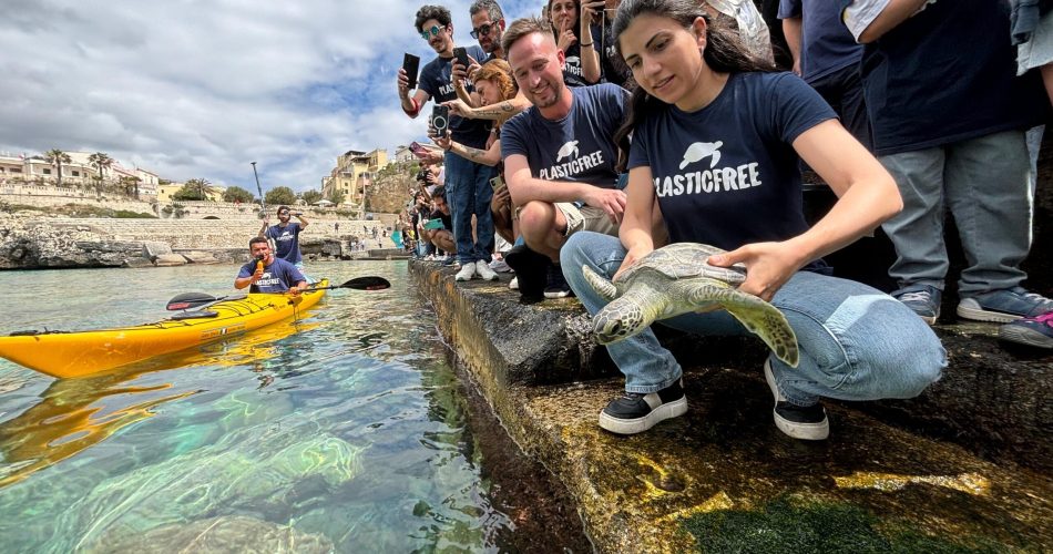 PF Tartarughe Castro 1